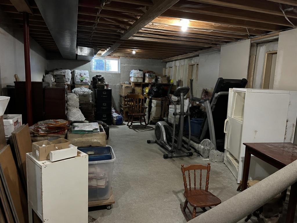 Basement Cleanout before
