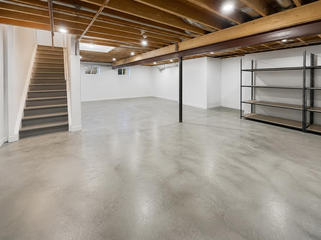 Basement Cleanout after