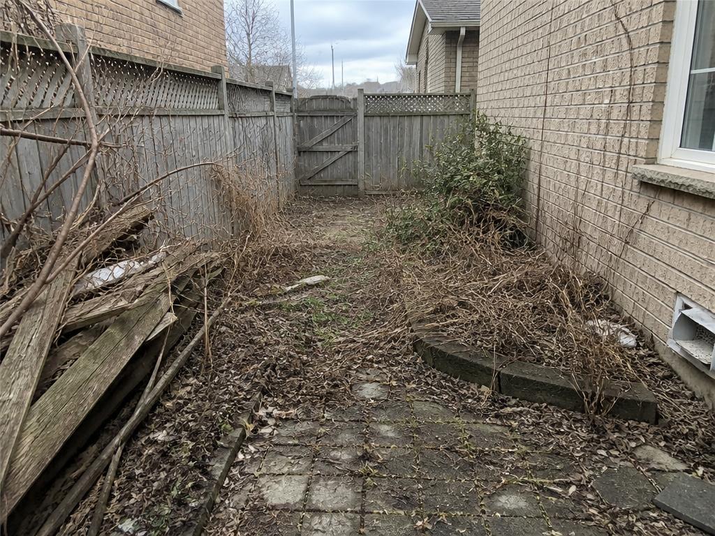 Side Yard Cleanup before
